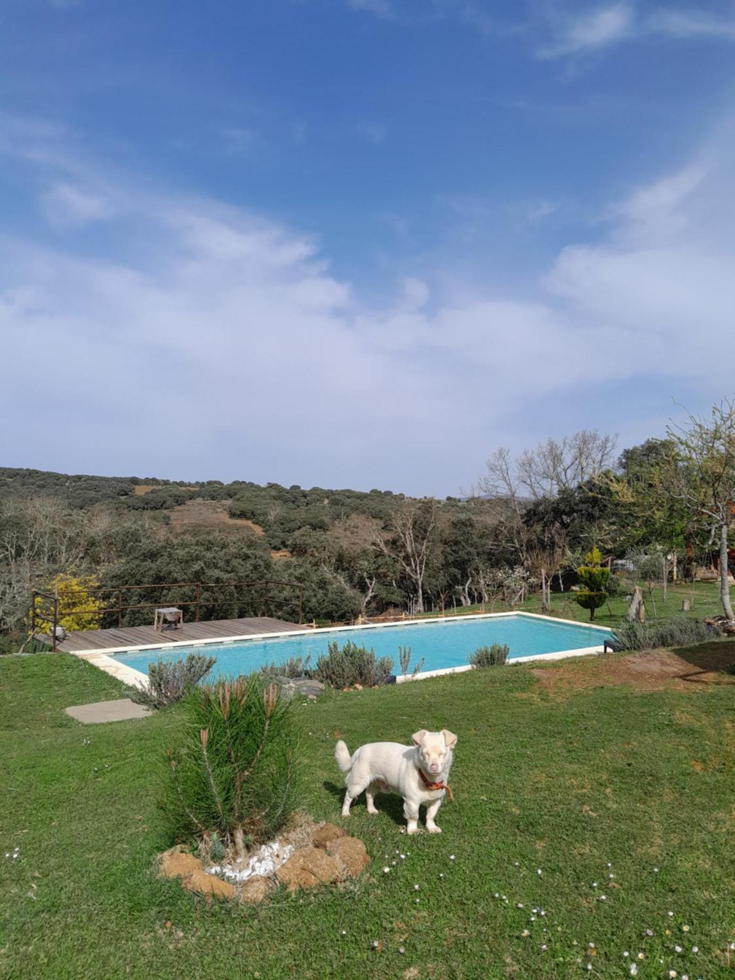 Apartamento Quinta Da Devesa B1 Vinhais Exterior foto